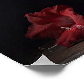 Rote Gladiolen Blume Art Print Poster (Ecke)