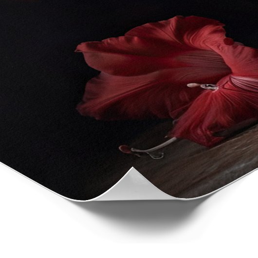 Rote Gladiolen Blume Art Print Poster (Ecke)