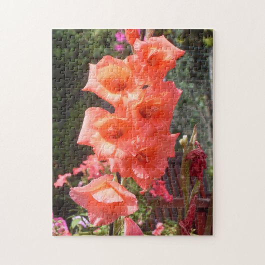 Rote Gladiolenblumen Puzzle (Vertikal)