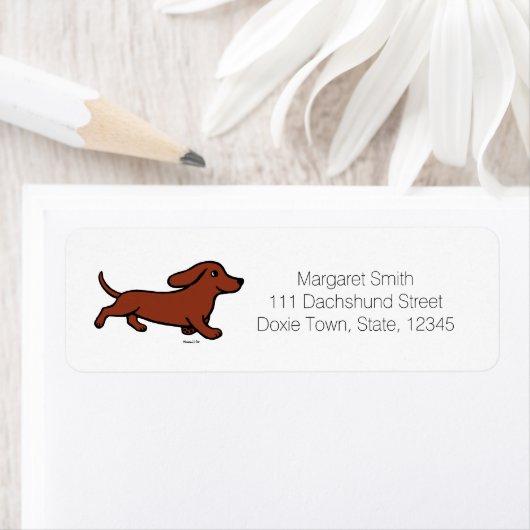 Rote glatte Dackel läuft (Insitu)