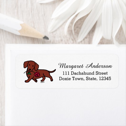 Rote, glatte, haarige Dackel Rose (Insitu)