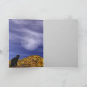 Rote Haareszunge Karte (Innenseite)