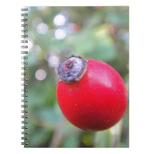 Rote Hagebutte mit weissem Bokeh Notizblock