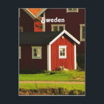 Rote Häuser in Schweden Postkarte<br><div class="desc">Rote Häuser in Schweden.</div>