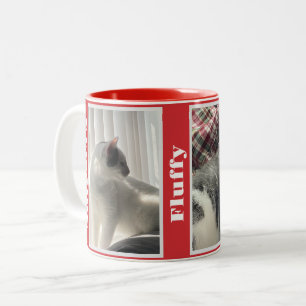Rote Haustierfotos und Namen Zweifarbige Tasse