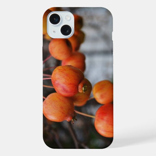 Rote Herbst-Äpfel iPhone Hülle (Rückseite)