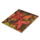 Rote Herbstblätter Keramik Fliese (Seite)