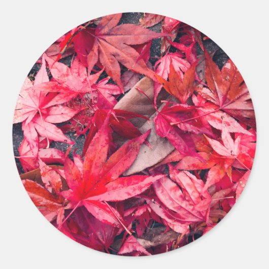 Rote Herbstblätter Runder Aufkleber (Vorderseite)