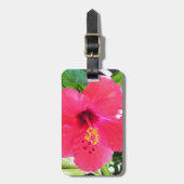 Rote Hibiskus-Blume Hawaiis Gepäckanhänger (Vorderseite vertikal)