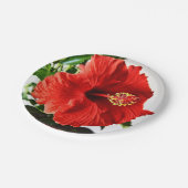 Rote Hibiskus-Blume Pappteller (Schrägansicht)