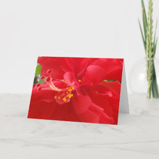 Rote Hibiskus-Karte Feiertagskarte