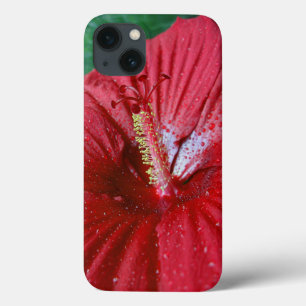 Rote Hibiskus mit Regentropfen Case-Mate iPhone Hülle