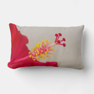 Rote Hibiskus Nahaufnahme von Stempel und Staubbla Lendenkissen