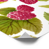 Rote Himbeeren Aquarellfrucht gestrichen Poster (Ecke)