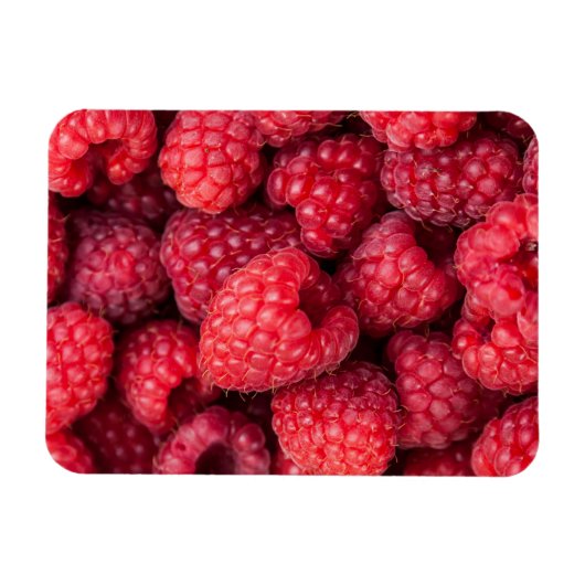 Rote Himbeeren, frisch Magnet (Horizontal)