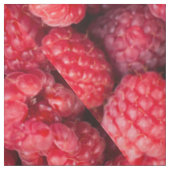 Rote Himbeeren, frisch Stoff (Muster)