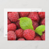 Rote Himbeeren Postkarte (Vorne/Hinten)