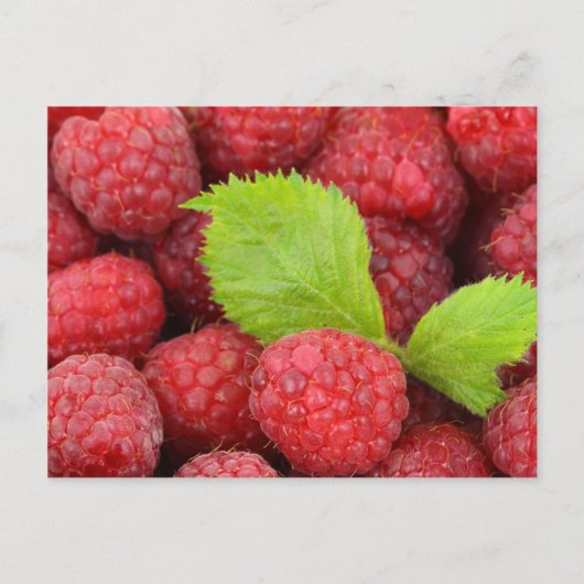 Rote Himbeeren Postkarte (Vorderseite)