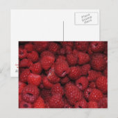 Rote Himbeeren Postkarte (Vorne/Hinten)