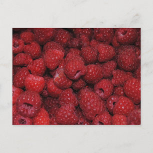 Rote Himbeeren Postkarte