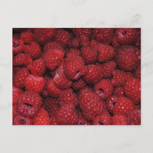 Rote Himbeeren Postkarte (Vorderseite)