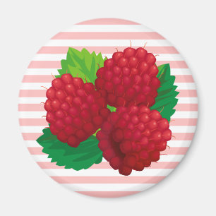 Rote Himbeermagnet Magnet