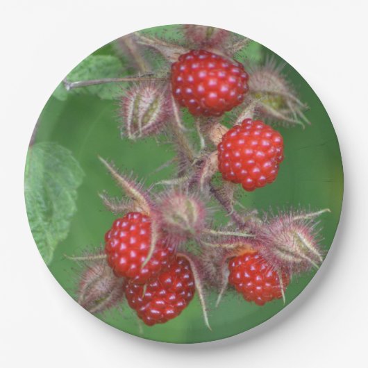 Rote Himbeerpapierplatte Pappteller (Vorderseite)