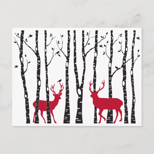 Rote Hirsche im Birkenwald Postkarte (Vorderseite)