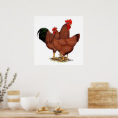 Rote Hühner Poster (Küche)