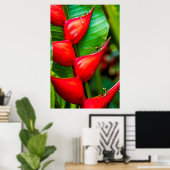 Rote Hummer Klaw Heliconia, Kauai, Hawaii Poster (Heimbüro)