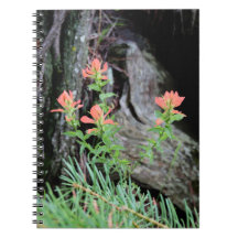 Rote indische Pinselstriche im Wald