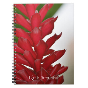 Rote Ingwer-Blütenpracht Kauai (meine Fotografie) Notizblock