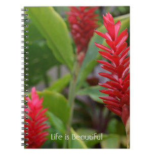 Rote Ingwerblumen Kauai (meine Fotografie) Notizblock