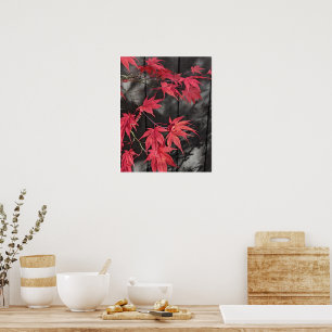 Rote japanische Ahornblatt-Schatten Poster