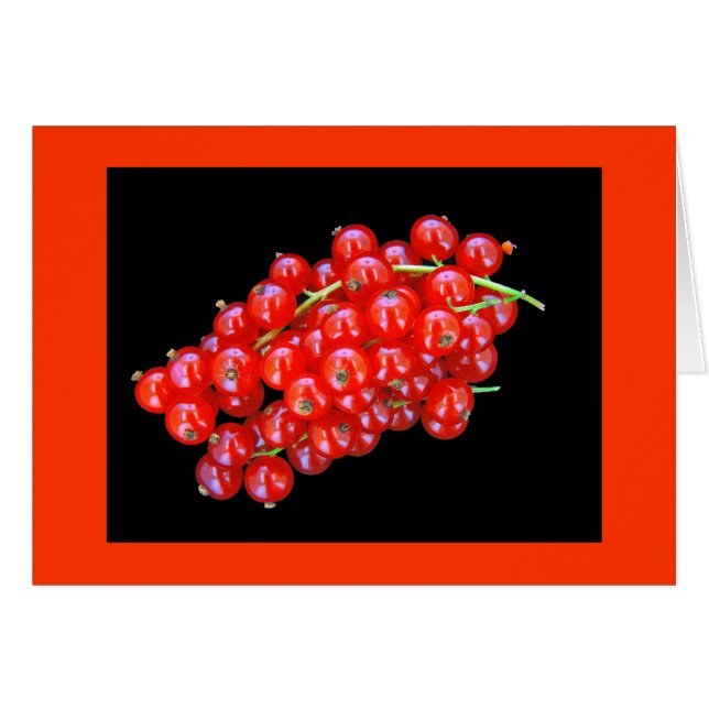 Rote Johannisbeerbeere (Vorderseite (Horizontal))
