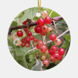 Rote Johannisbeere Keramik Ornament