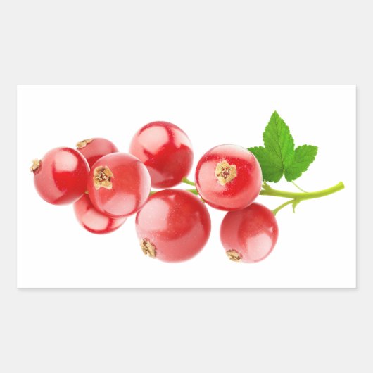 Rote Johannisbeere Rechteckiger Aufkleber (Vorderseite)