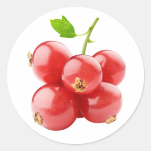 Rote Johannisbeere Runder Aufkleber