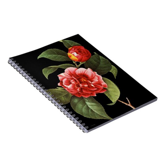 Rote Kamelie, 1833 Notizblock (Rechte Seite)