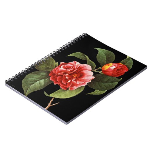 Rote Kamelie, 1833 Notizblock (Linke Seite)