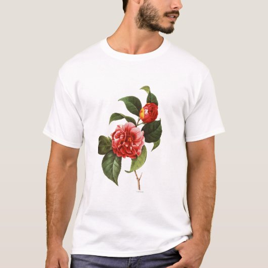 Rote Kamelie, 1833 T-Shirt (Vorderseite)