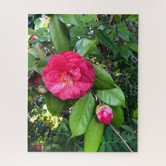Rote Kamelie, Palo Alto Puzzle (Vertikal)