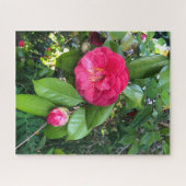Rote Kamelie, Palo Alto Puzzle (Horizontal)