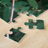 Rote Kamelie, Palo Alto Puzzle (Seite)