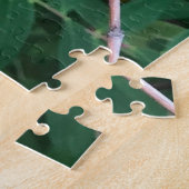Rote Kamelie, Palo Alto Puzzle (Seite)