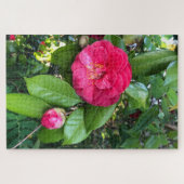 Rote Kamelie, Palo Alto Puzzle (Horizontal)