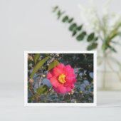 rote Kamelienblüte Postkarte (Stehend Vorderseite)