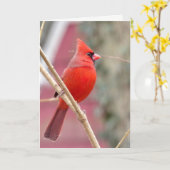 rote Kardinal-Blankekarte Karte (Gelbe Blume)
