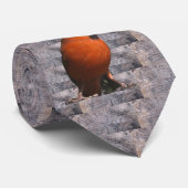 Rote Kardinals-(große) Krawatte (Gerollt)