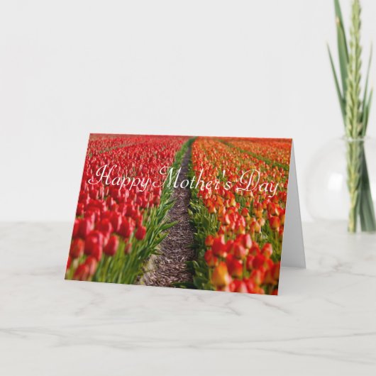 Rote Karte der Tulpe-Feld-Mutter Tages (Vorderseite)